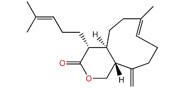 Acalycigorgin E